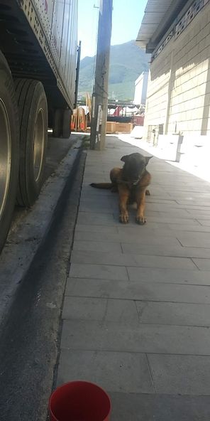 MtyFollow's tweet photo. Apoyo raza!!!

por si alguien lo ha visto
si hay info, busquen al sr en face https://t.co/cWx6ujZ4eH