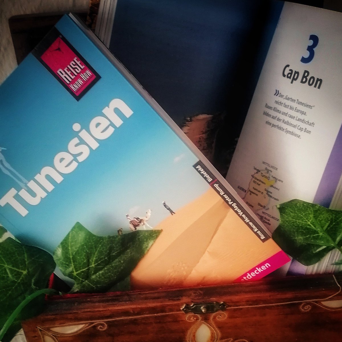 Blöd, wenn man im Frühjahr 2020 einen Reiseführer fertig geschrieben hat. Super, dass wir jetzt endlich veröffentlichen können. 4 Jahre Reisen, Erfahrungen, Tipps in Tunesien auf 444 Seiten. #Reisen #Tunesien #Urlaub
