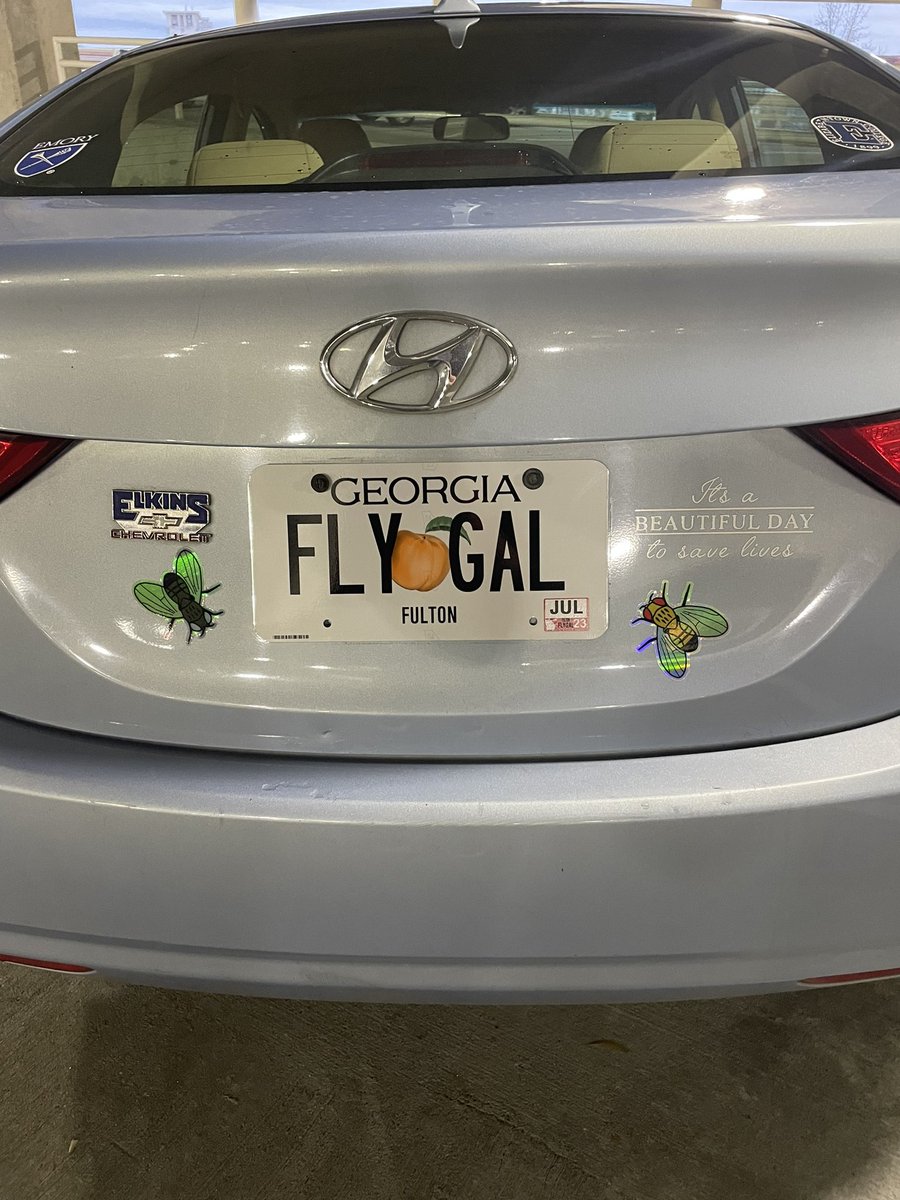 ColbySchweibenz's tweet photo. First, I have an update for fly friends: I can now be identified as "that fly gal" driving around Atlanta 🪰 My fly pun has a backstory: My fiancé's name is Louis Muller, so @JWardwellOzgo really wants my wedding hashtag to be #flyingtobeamuller 😂 #dros23 @GeneticsGSA #FlyPuns https://t.co/mgaObEfMY7