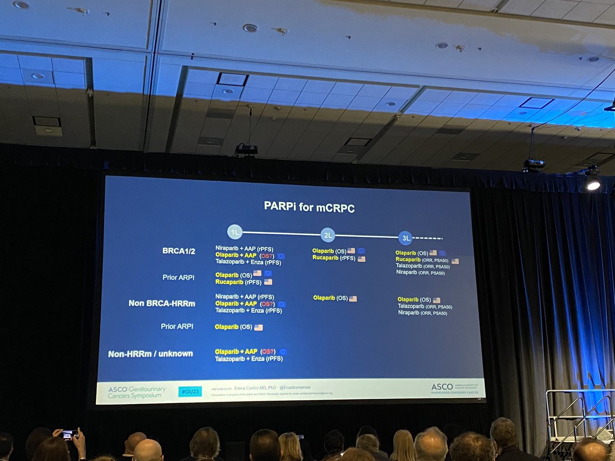Fernando Sabino, MD, PhD (@fsabino_onco) on Twitter photo Provocative and pragmatic discussion of <a href="/Ecastromarcos/">Elena Castro</a> regarding the data of TALAPRO-2 and TRITON-3 trials presented at ASCO #GU23. A final useful message/slide with all PARPi in different mCRPC treatment setting/scenario. <a href="/OncologyBio/">BIO - Brazilian Information Oncology</a> Provocative and pragmatic discussion of <a href="/Ecastromarcos/">Elena Castro</a> regarding the data of TALAPRO-2 and TRITON-3 trials presented at ASCO #GU23. A final useful message/slide with all PARPi in different mCRPC treatment setting/scenario. <a href="/OncologyBio/">BIO - Brazilian Information Oncology</a>