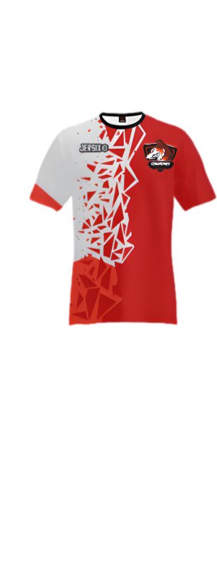 InsonaryGaming's tweet photo. Voici l'es maillot de la prochaine saison scald / Here are the jerseys for the next šcald season https://t.co/TxxkgHtTQd