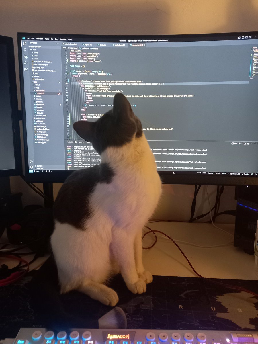 nerrotheviking's tweet photo. Training my kitty to write some code
She knows for loops 

#codingkitty😺 #syntaxsage https://t.co/R7NnSR8UST