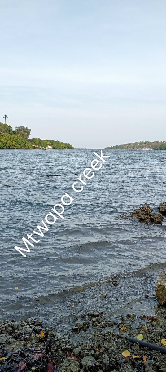 MuneeJoseph's tweet photo. 2 acres beach plot at shanzu Serena Mombasa county for by sale.0721310298 https://t.co/aRRu6KtEqR