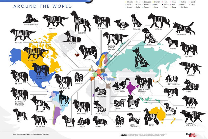 xataka on Twitter "Los nombres de perro más populares en cada país del
