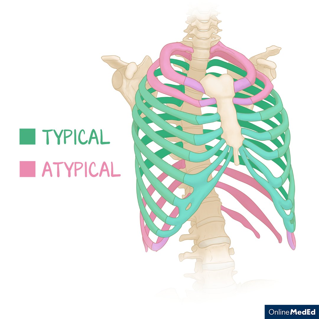 OnlineMedEd on Twitter: 