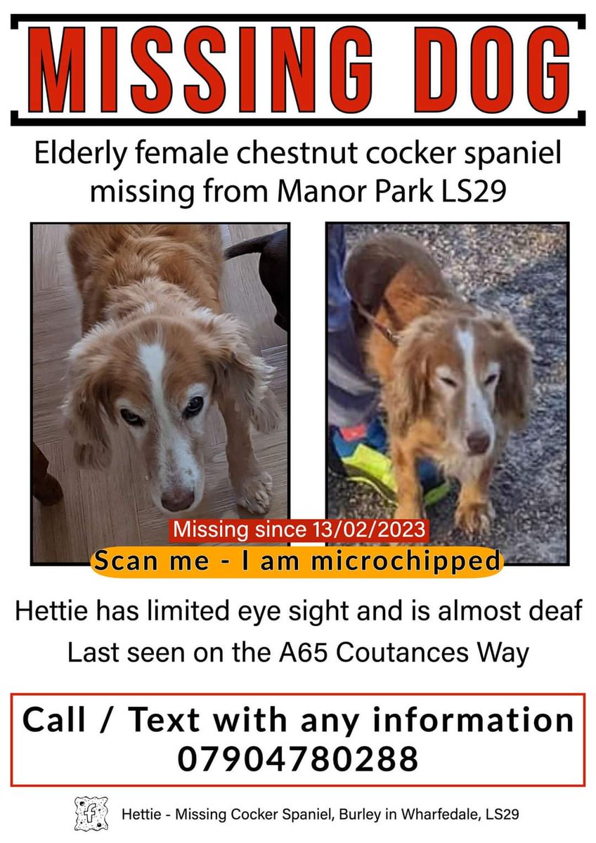 MissingPetsGB's tweet photo. 🐕 #urgent elderly HETTIE #MISSING #COCKERSPANIEL
from BURLEY IN WHARFEDALE, #LS29
Hettie was let outside in her garden on 13 February 2023 at approx 7pm in the Manor Park area of #LS29. Hettie has limited eye sight &amp; hearing.  https://t.co/5V8dmStnzf
#findhettie https://t.co/sfEtpbDI2O