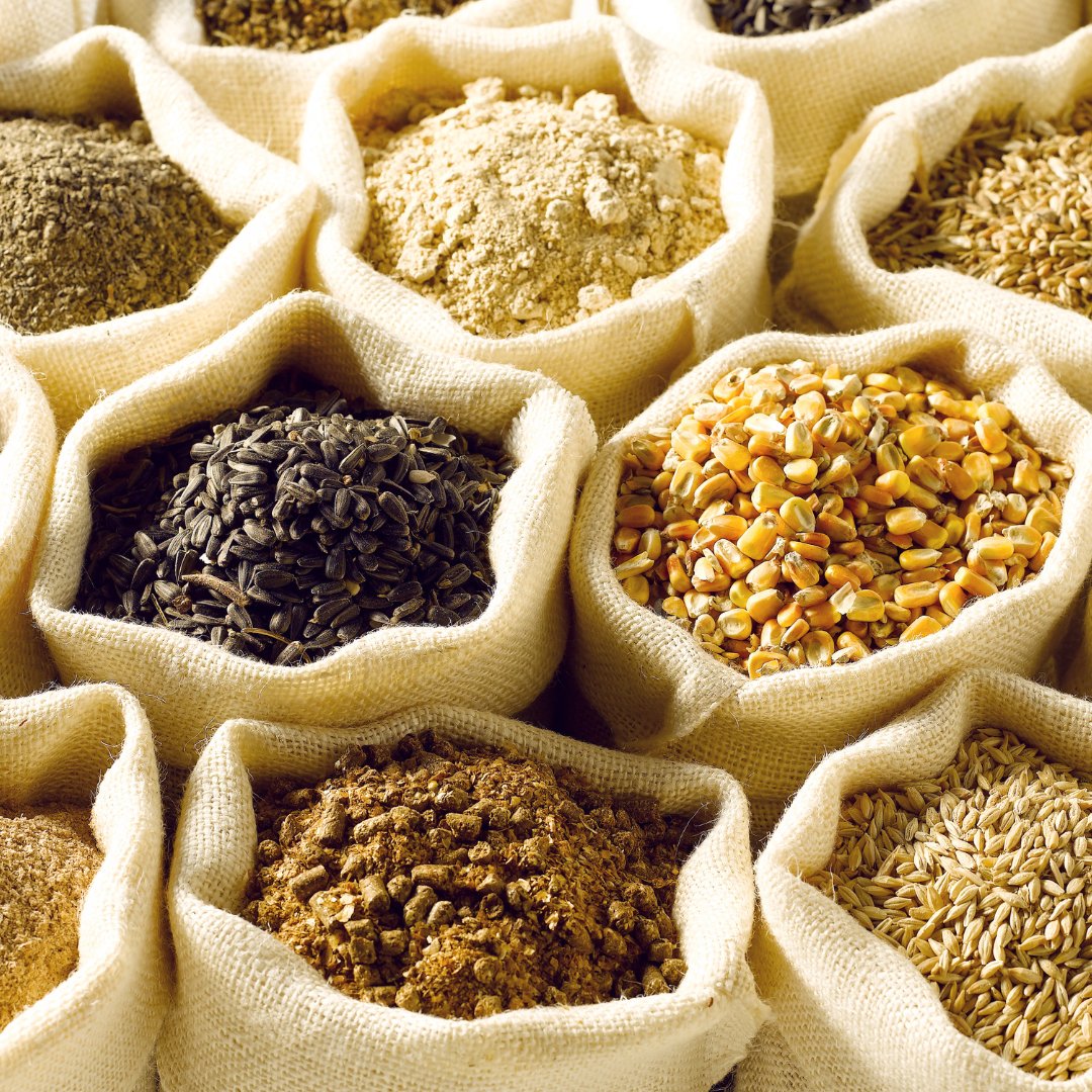 GoodinGrain's tweet photo. Do you ever wonder what grain food is high in protein? Check it out here => https://t.co/Nwyn8HL578 #YourFarmers #OntarioFarmers
#OntarioFarms #OntarioGrains #WholeGrains #Protein #GrainProtein #ProteinFilledGrains #HighInProtein https://t.co/5BNWl4F0Ji