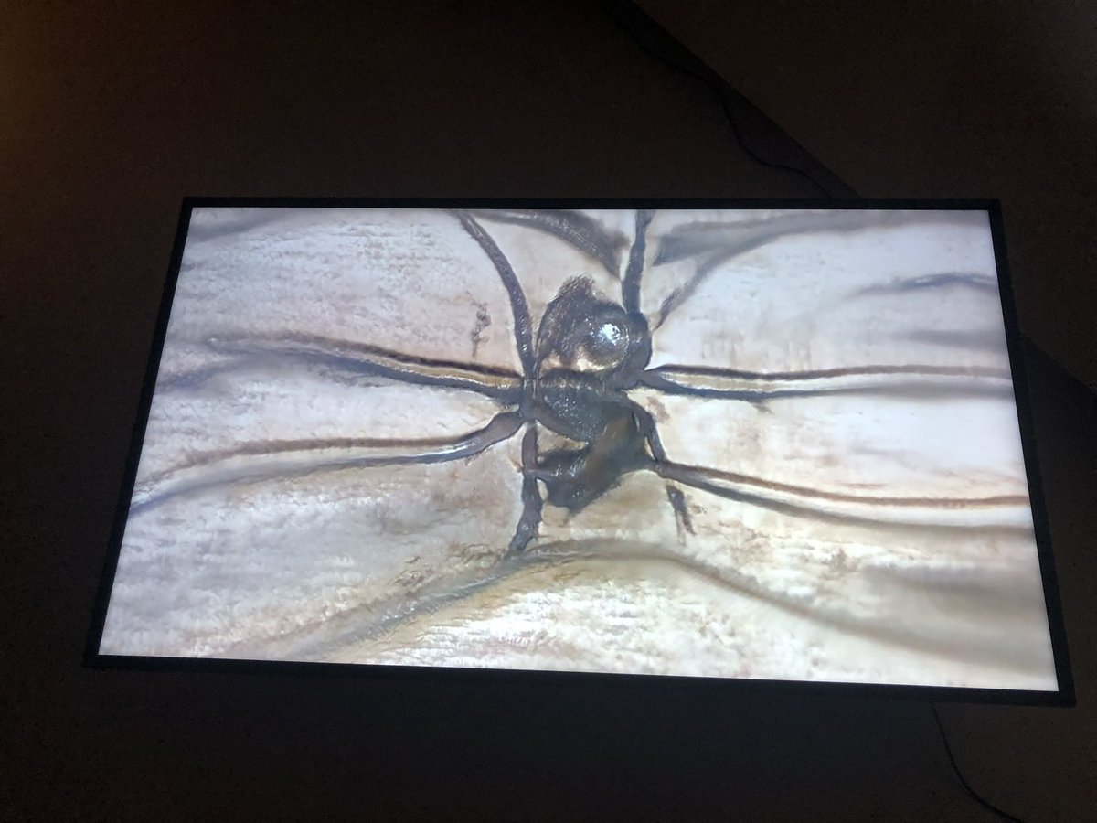 Hieno ilta tieteen ja taiteen rajapinnassa. 
Kiitos <a href="/t_lehmusruusu/">Teemu Lehmusruusu</a> 
- ja onhan tämä aivan mahtavaa #CarbonAction yhteistyötä! 🪱
hanaholmen.fi/en/event/symbi…