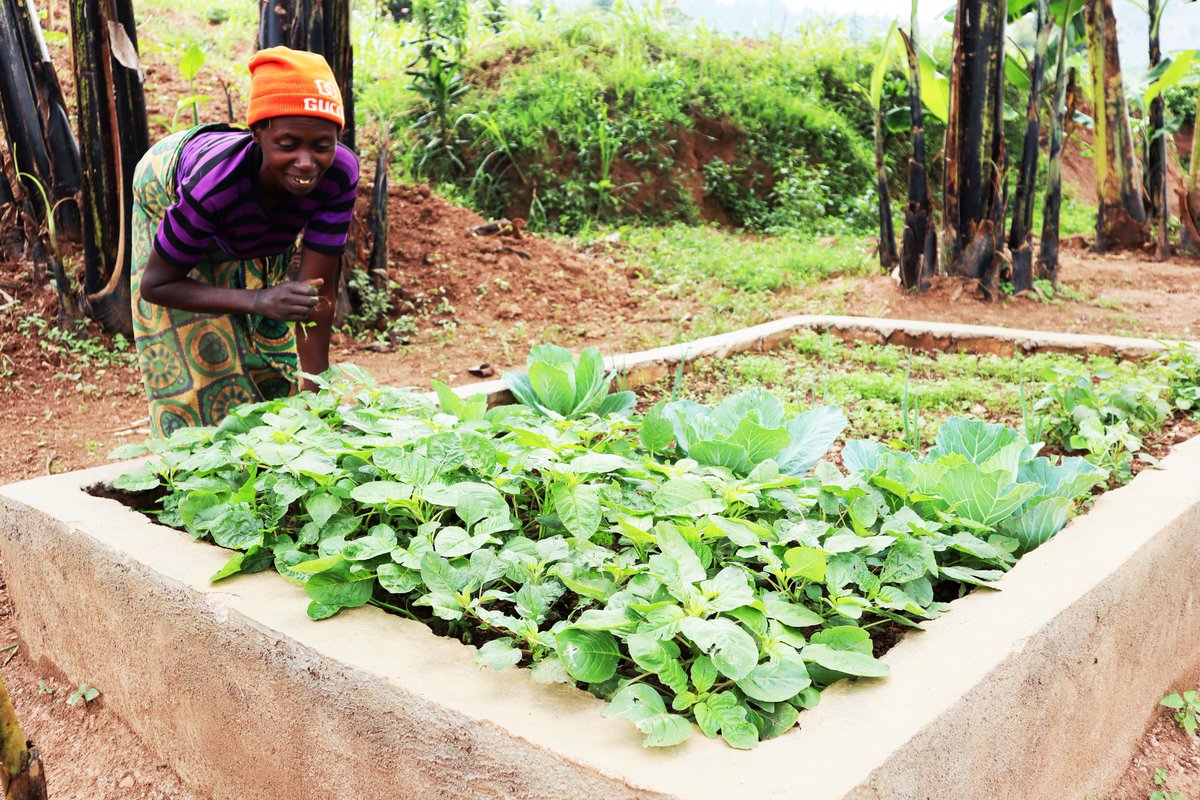 DufatanyeOrg's tweet photo. With the Suyana Foundation, we are in the pathway to eraducate the #malnutrition and the #poverty in the families in our #villagesofhope Karwiru and Kadusenyi. #jointogether #communityempowering #agriculture https://t.co/1m74PJNMJl