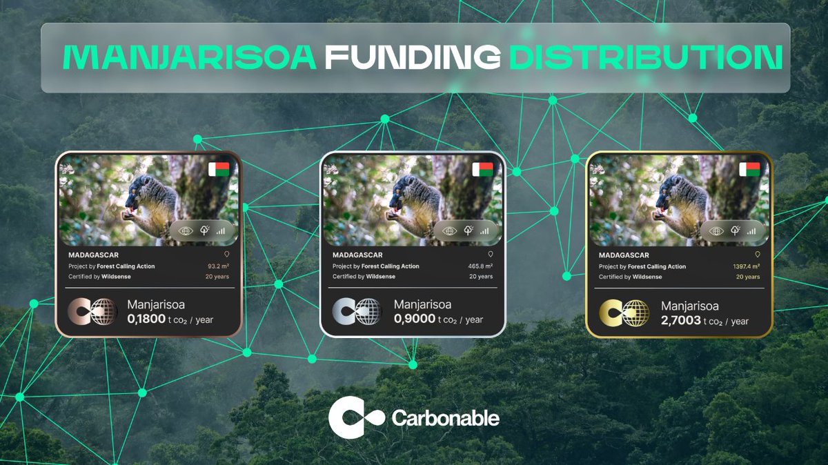 Carbonable_io's tweet photo. Check out the details of our latest project funding distribution! It is now visible and analyzed on the Unimetrix blockchain analyzer site 💻 #Carbonable #NFTs #Blockchain https://t.co/Mrz8jmnjQw