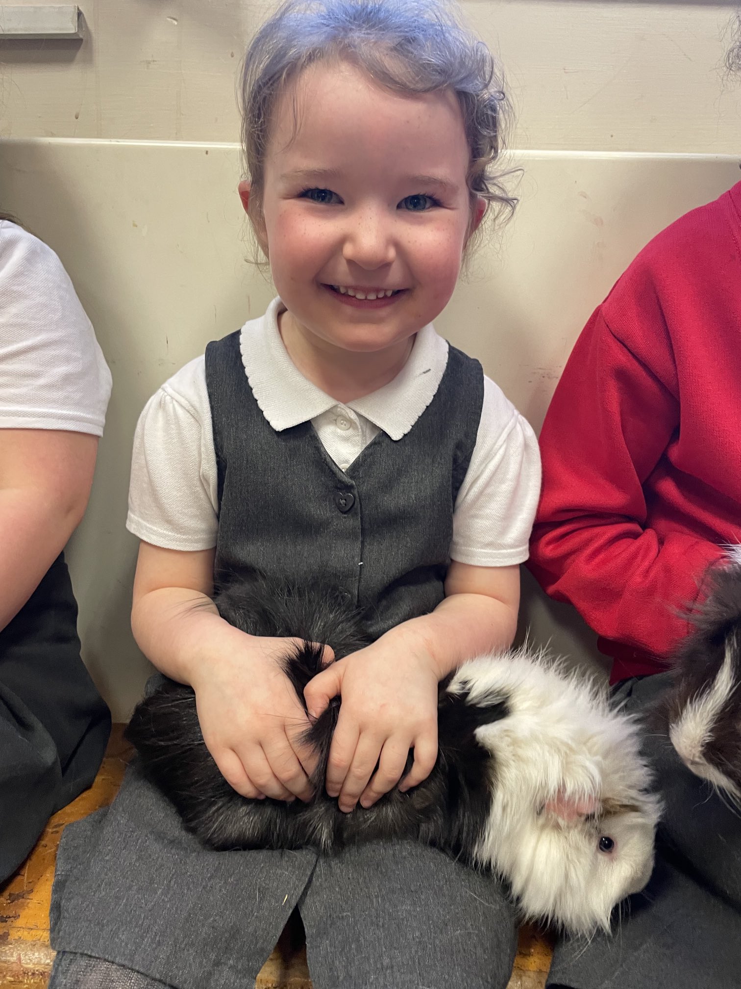 The Wilmslow Academy on Twitter "Jingle and Bell having cuddles in S4K