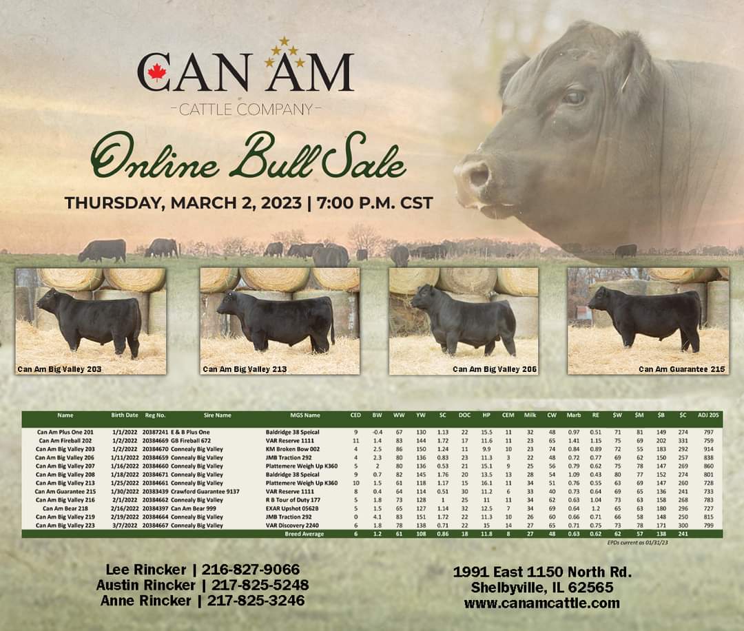 Our bull sale is coming up in a few weeks.  They are a nice set of good disposition, easy fleshing, stout bulls that are ready to go to work.