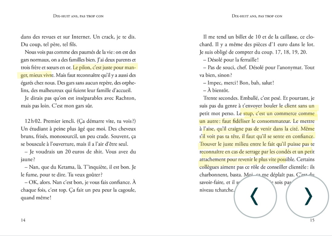 🇨🇵 FLASH - Un nouveau roman écrit par un enseignant, décrit la vie de « Hichem et Rachid », qui « vendent du pillon de midi à minuit pour s'en sortir ». Malgré l'activité illégale, « les Arabes comme nous doivent coffrer une hlel pour se marier ».