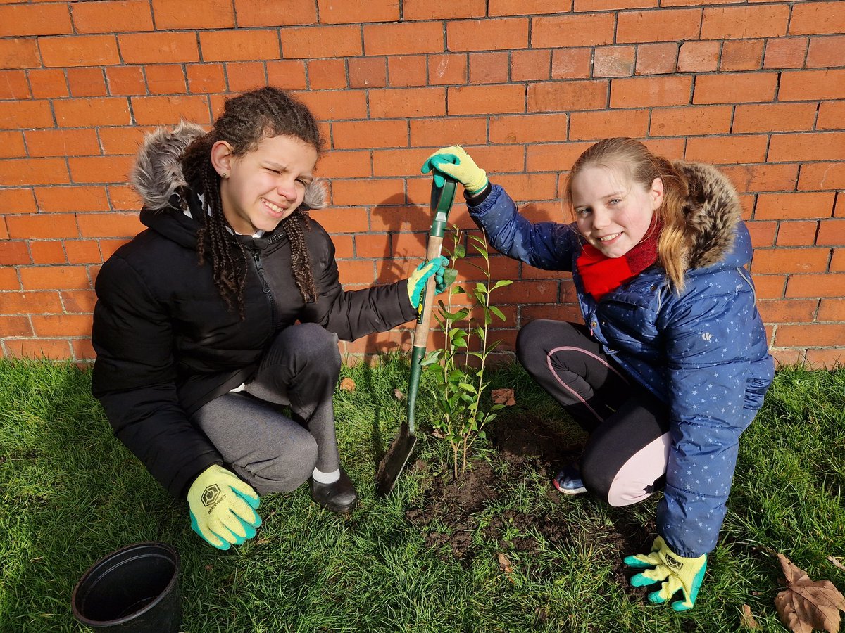 NewBrightonPS's tweet photo. NBPS School Council have been busy in Vale Park with Wirral Rangers planting two new  Hawthorn, Hazel, Beech, Holly, Guelder-rose, Crab Apple, Serviceberry, Yew and Privet! 👨‍🌾👩‍🌾🤎💚🧩
#NotAllClassroomsHaveWalls  #nbpsOutdoorlearning  #nbpsLOtC #nbpsSchoolTrips #nbpsEnhancements https://t.co/ER23dYtcCZ