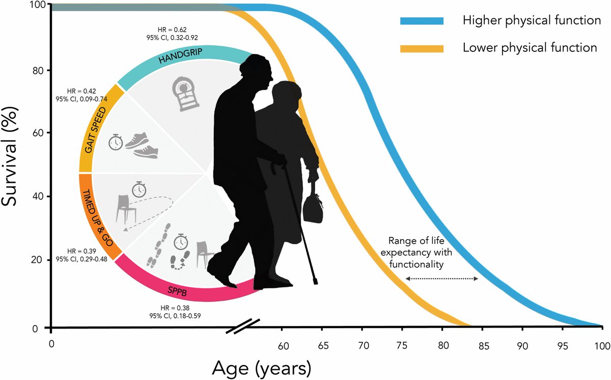 a_garciahermoso's tweet photo. La #función física puede ejercer un efecto protector sobre la #mortalidad por todas las causas en adultos mayores diagnosticados con #cancer 

https://t.co/C8M8KesXTt

Figura by @YasEzzatvar https://t.co/g0dTqkhICV