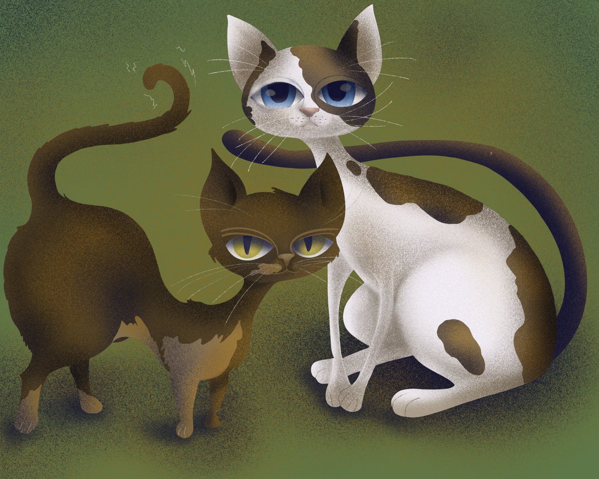 Miruna Adriana T tweet media