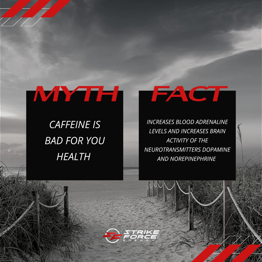 StrikeForceE's tweet photo. Numerous studies have debunked the idea that caffeine has harmful side effects on your health when consumed in moderation. Truth is, it helps increase brain activity while giving you that much-needed dopamine boost... what more could anyone want?
#kickthecan #strikeforceenergy https://t.co/xdmmQtkacs