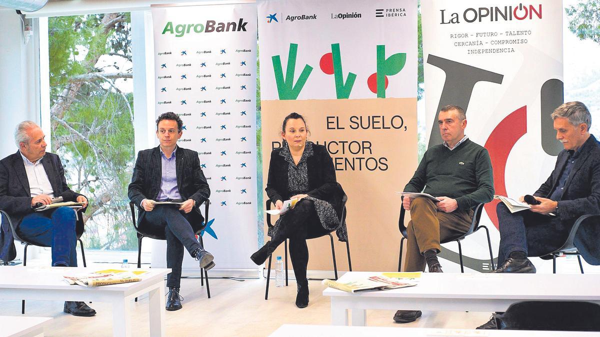 Ricote Valley Hub tweet media