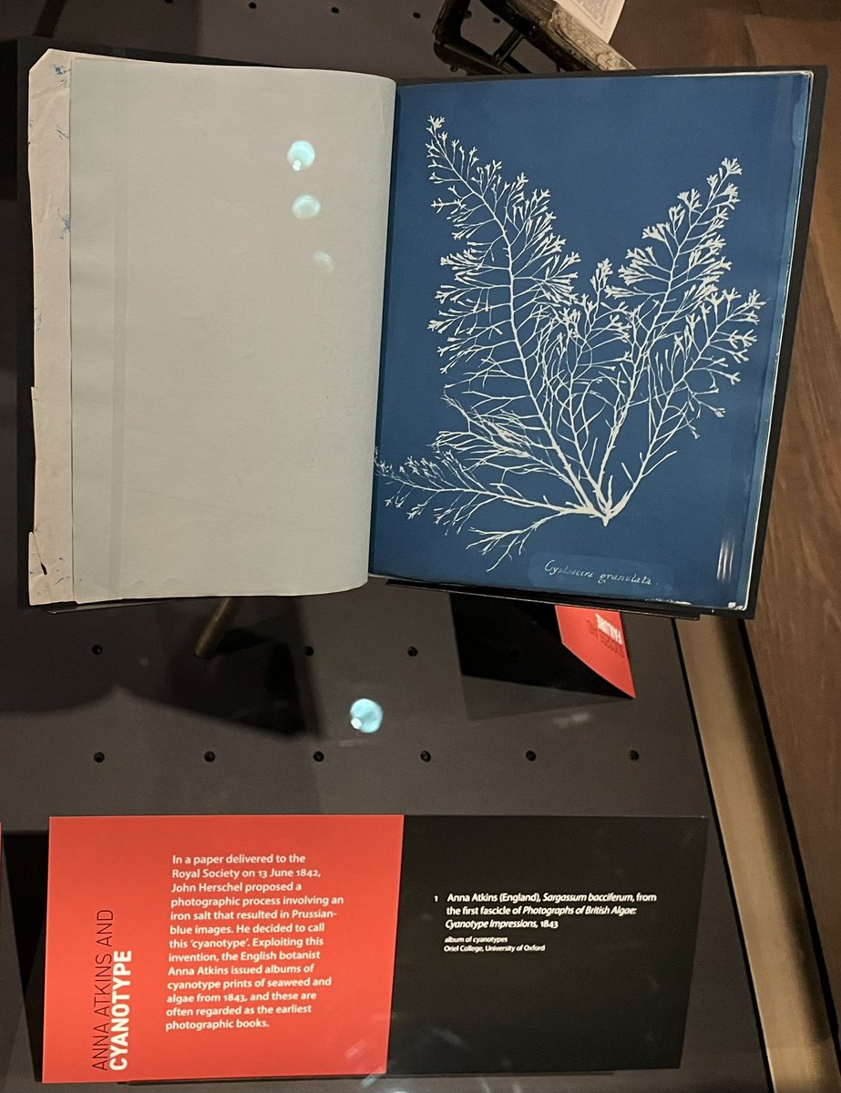 AnnebellaPollen's tweet image. A New Power: Photography in Britain 1800-1850 is a fascinating scholarly exhibition @bodleianlibs. A must for all photo historians - a rare chance to see rare originals in the flesh, inc by Anna Atkins. Both images attached are also available as fridge magnets in the shop!