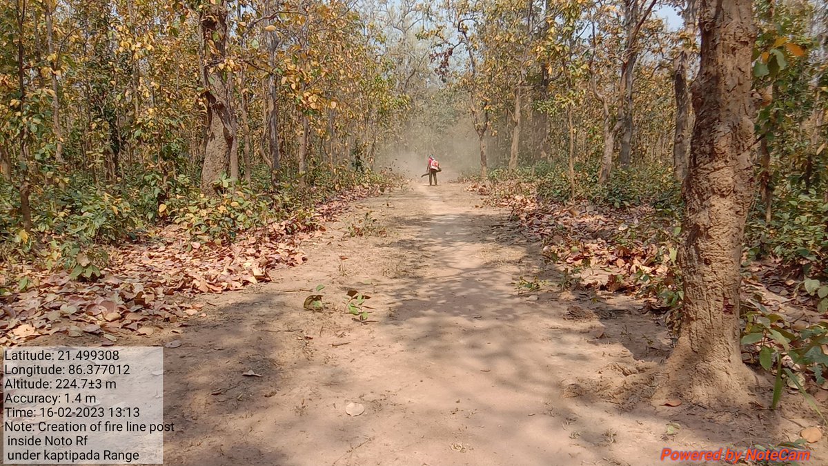 amar_odisha's tweet photo. Creation of
#Fire_line inside Noto Rf ( #Similipal Tiger Reserve) Under Kaptipada Range , Baripada Division to protect Wildlife,Flora and Founa.
#SAVE_SIMILIPAL
@BaripadaT
@CircleRccf
@Similipal_South
@SimilipalNorth
@DM_Mayurbhanj
@pccfodisha
@PCCFWL_Odisha
@ntca_india https://t.co/fd7ITNlQwA
