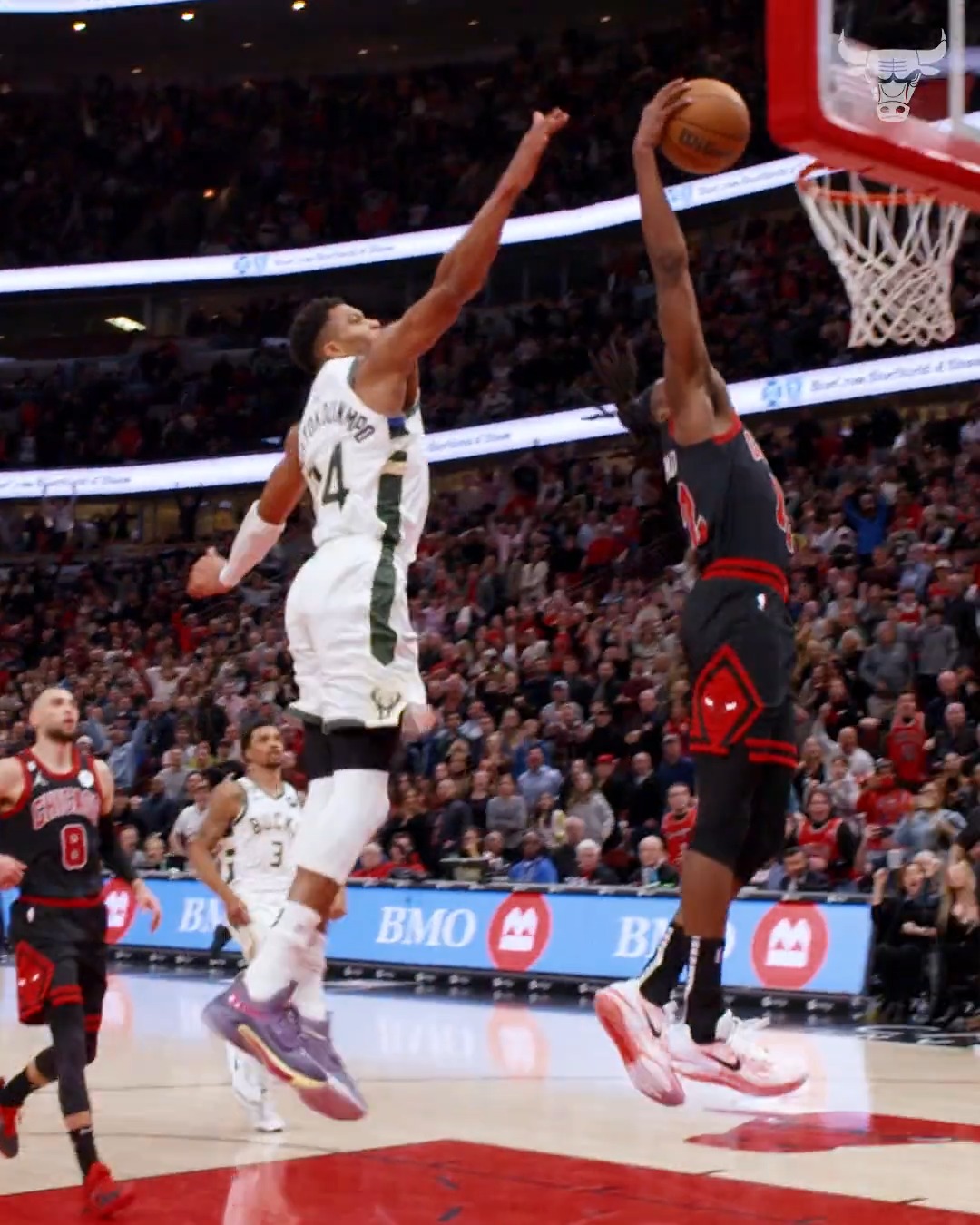 bulls last championship
