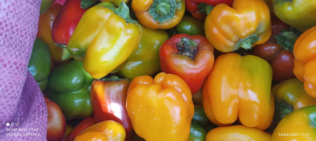 Lutz Hartmann tweet media