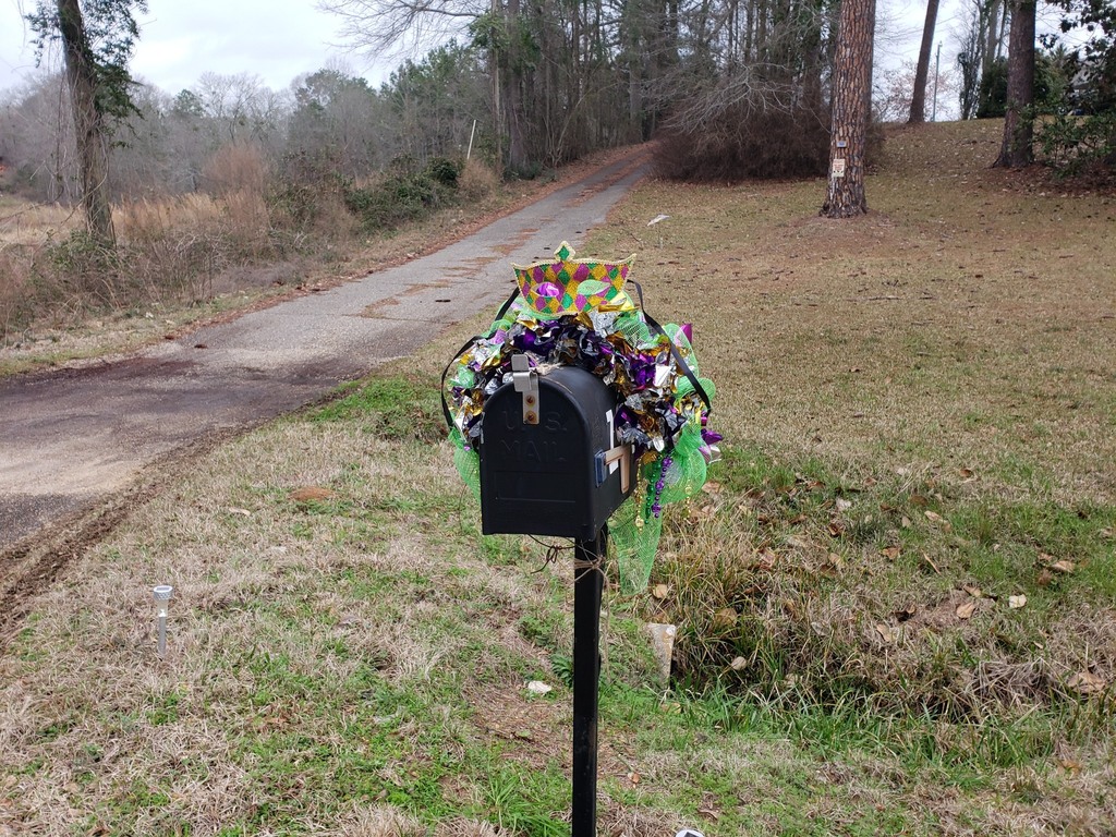 RamblingBoho's tweet image. When you can't decorate the yard, and the front of the house is waaaay too far from the road to see decorations.  Mailbox toppers!
#mailboxtopper #mailboxdecoration #mardigras #holidays #wreaths instagr.am/p/CouxpWmDpFm/