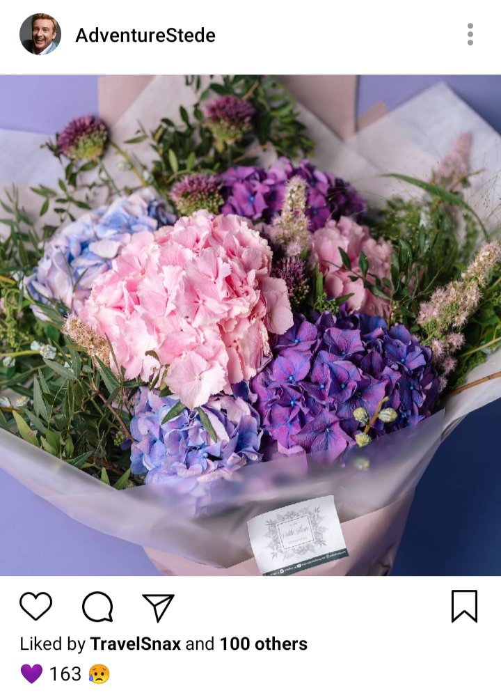 Stede's IG. Photo of bouquet of hydrangeas, pink, blue and purple. Caption reads 💜163😢