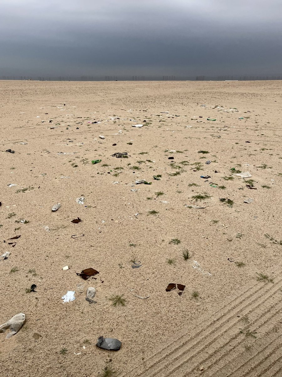 Malkouh's tweet photo. Desert Studies. 
AlSubiya #Kuwait https://t.co/niCNuZmBHZ