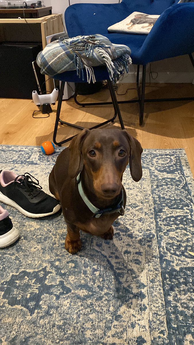 Reina Edmiston Art (@reinaedmiston) on Twitter photo 