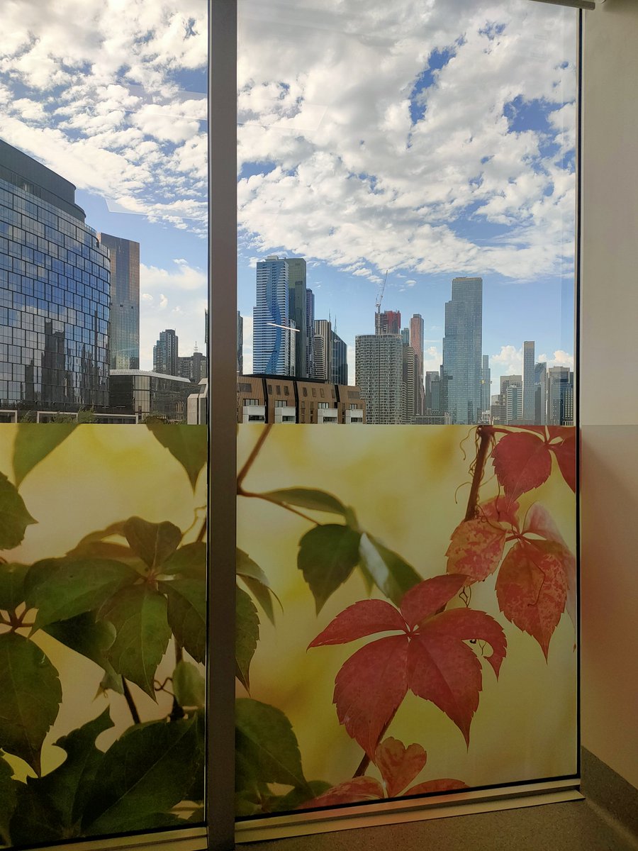 Exciting to be part of history as one of the first patients to receive innovative rhenium skin cancer treatment at new Melbourne <a href="/AvionSkin/">Avion Medical Skin Centres</a> facility #cityviews