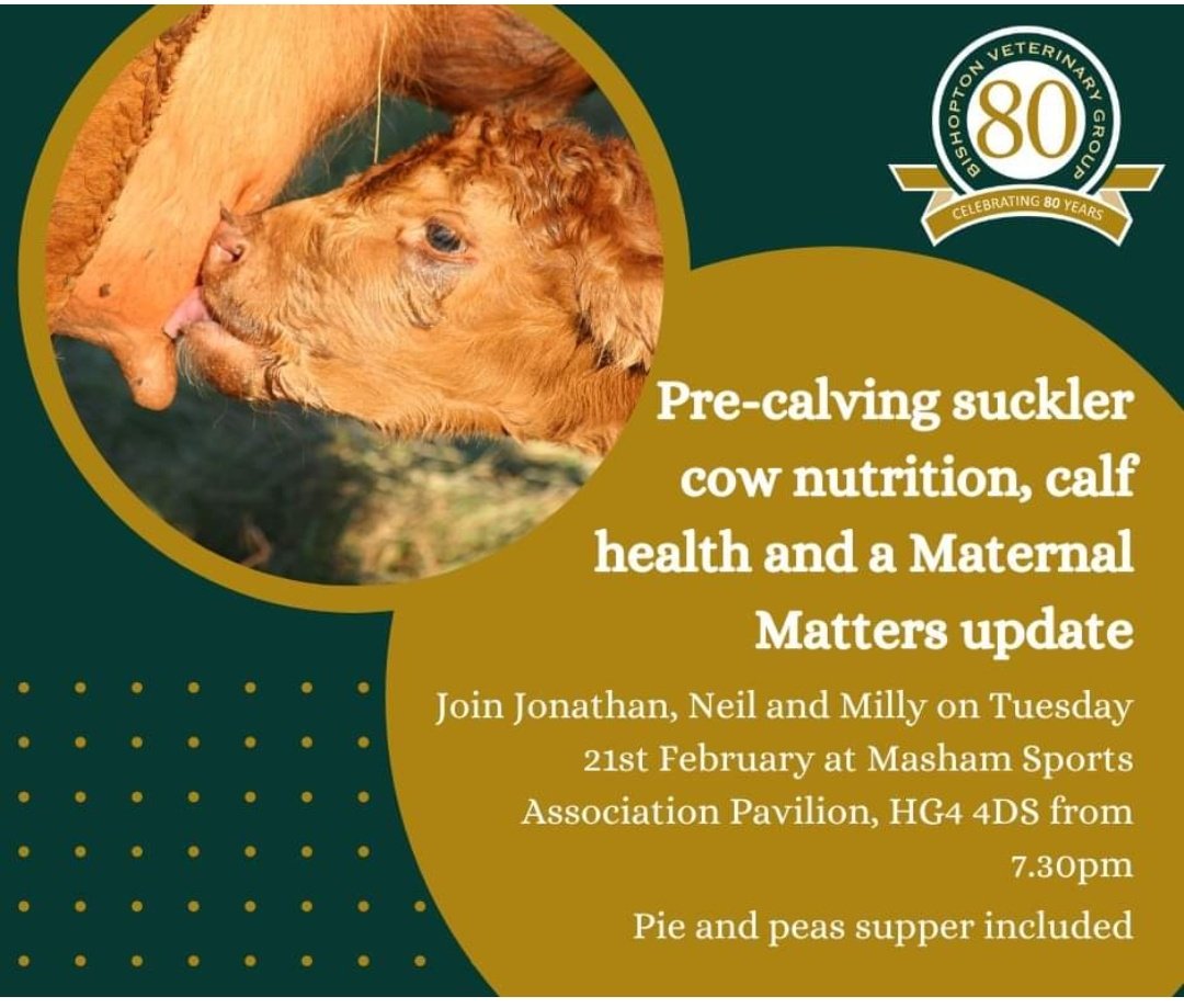 Incoming....beef discussion group meeting.
#teambeef #MaternalMatters #Calving2023 #teamBVG