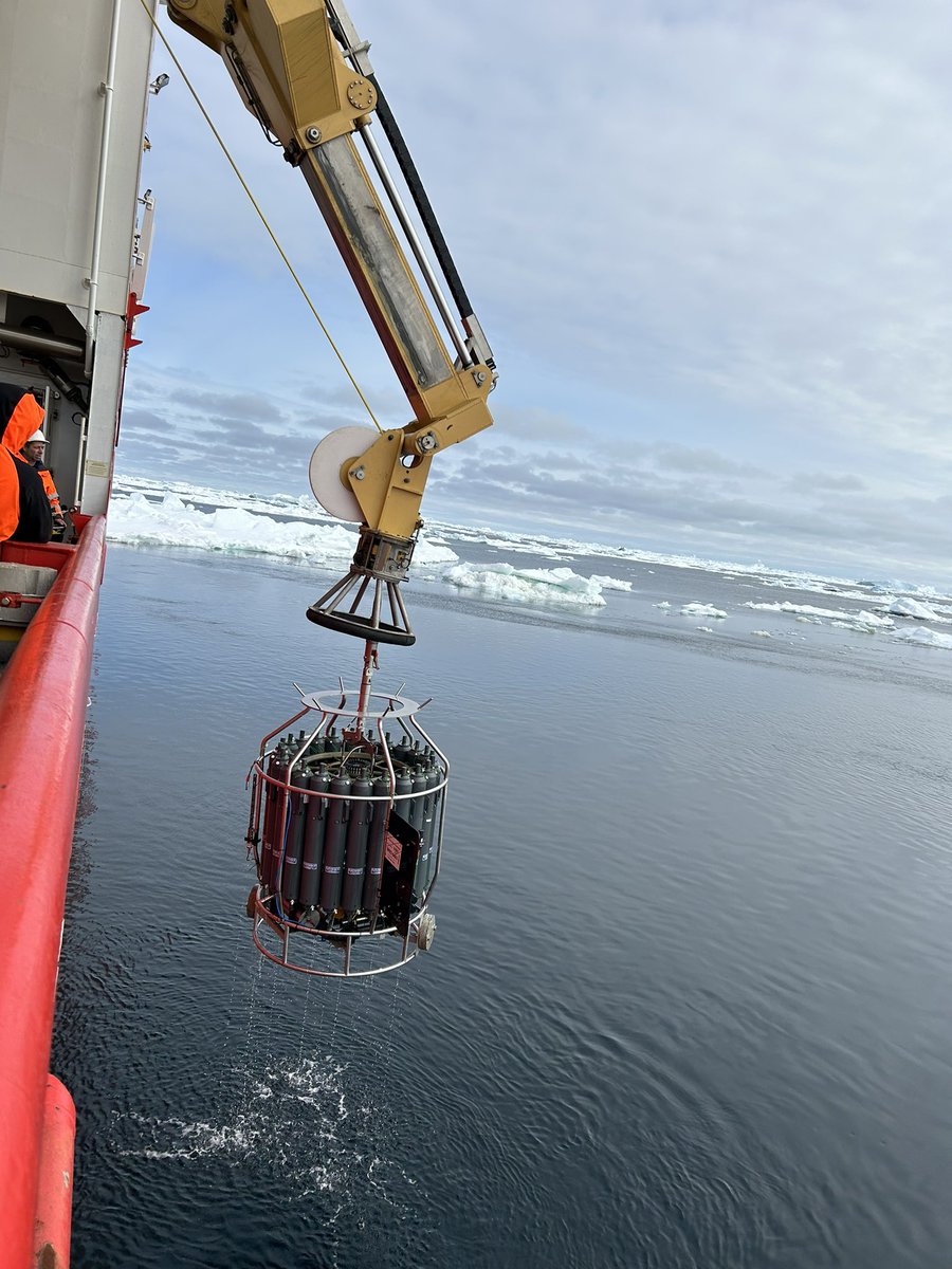 Sophie Fielding tweet media