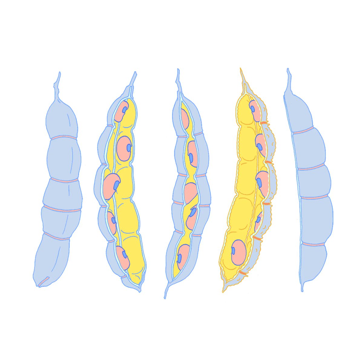 The Explorer's Guide to Biology tweet media