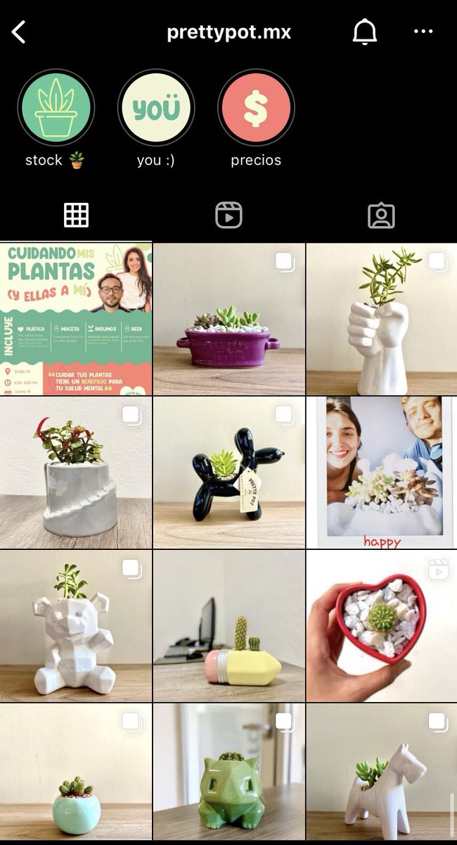 mariamarvizu's tweet photo. Amigos tuiterosssss, si les gusta mucho aprender sobre el cuidado de las plantitas, organizamos un taller para promover el cuidado de las suculentas 🫶🏼 va a estar muy muy cool y si les interesa pueden visitar el insta de https://t.co/m7dH7NIxdg para más info 🪴🙌🏼 https://t.co/QDaWckfde0