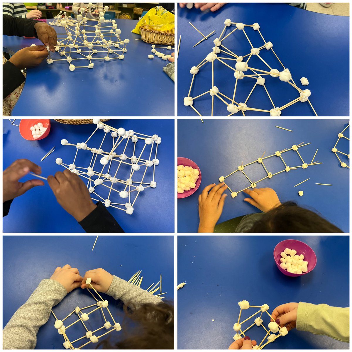 Renee Trivelli tweet media