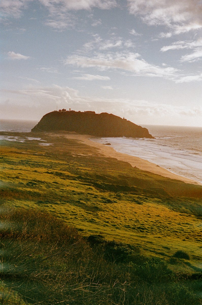 Matt Brown tweet media