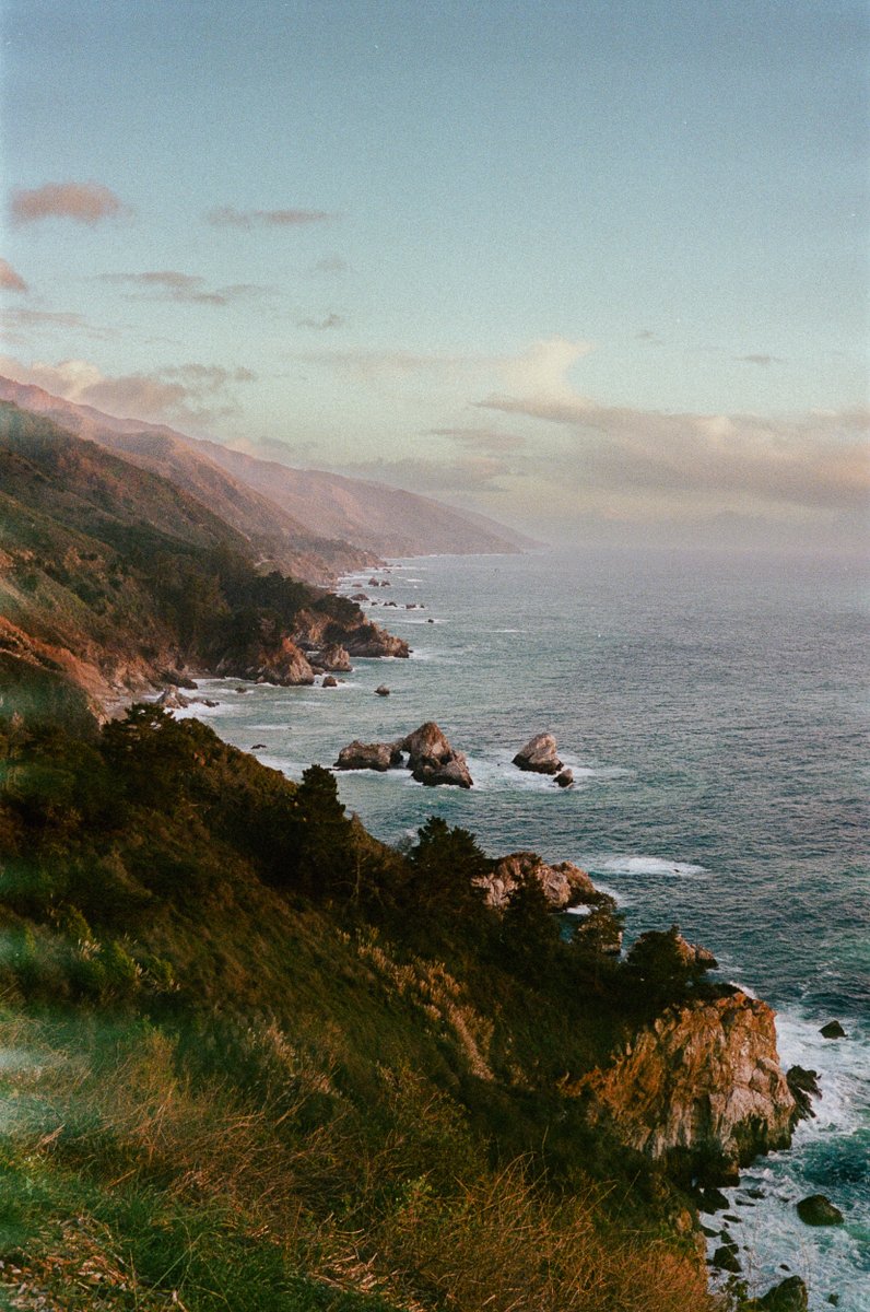 Matt Brown tweet media