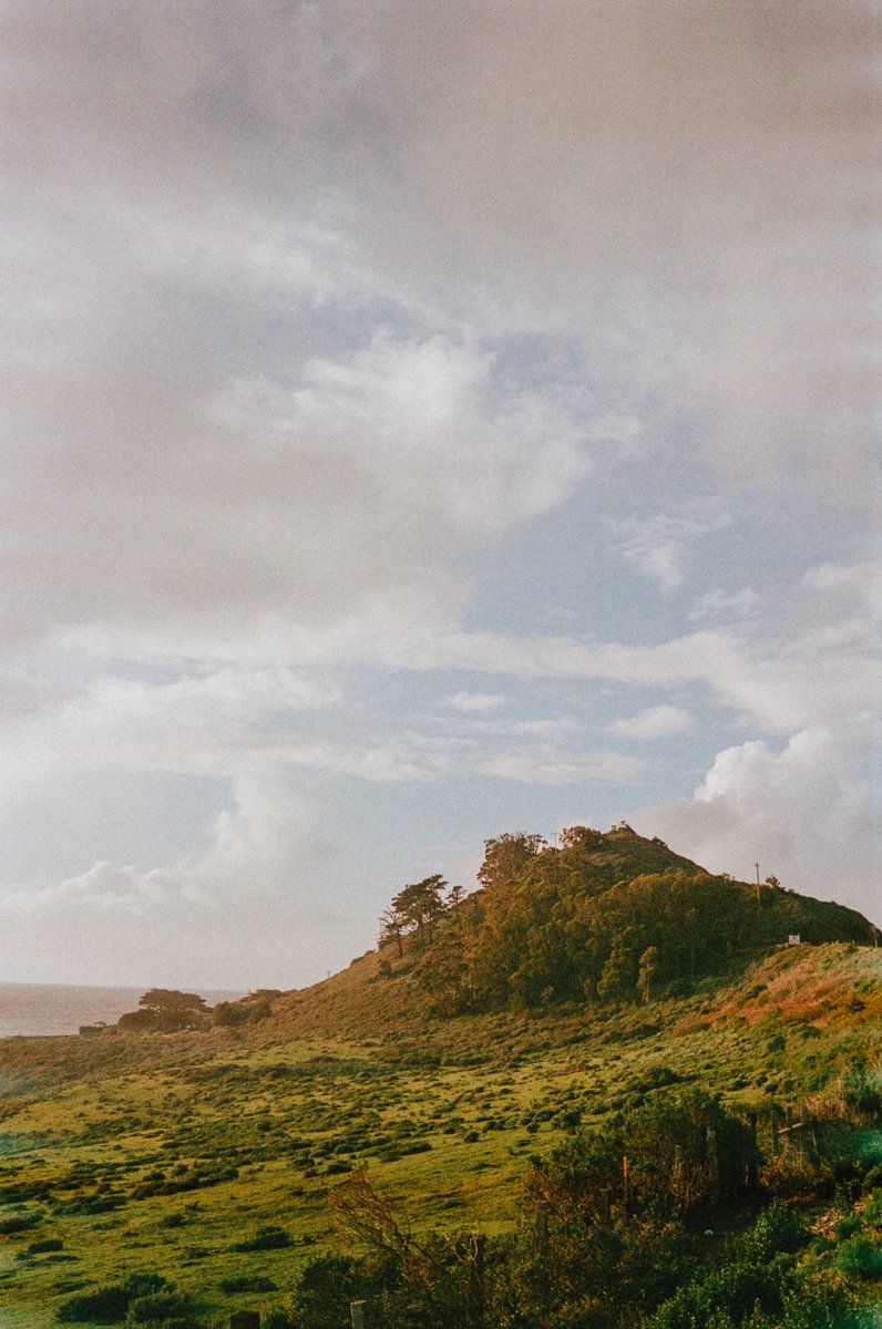 Matt Brown tweet media