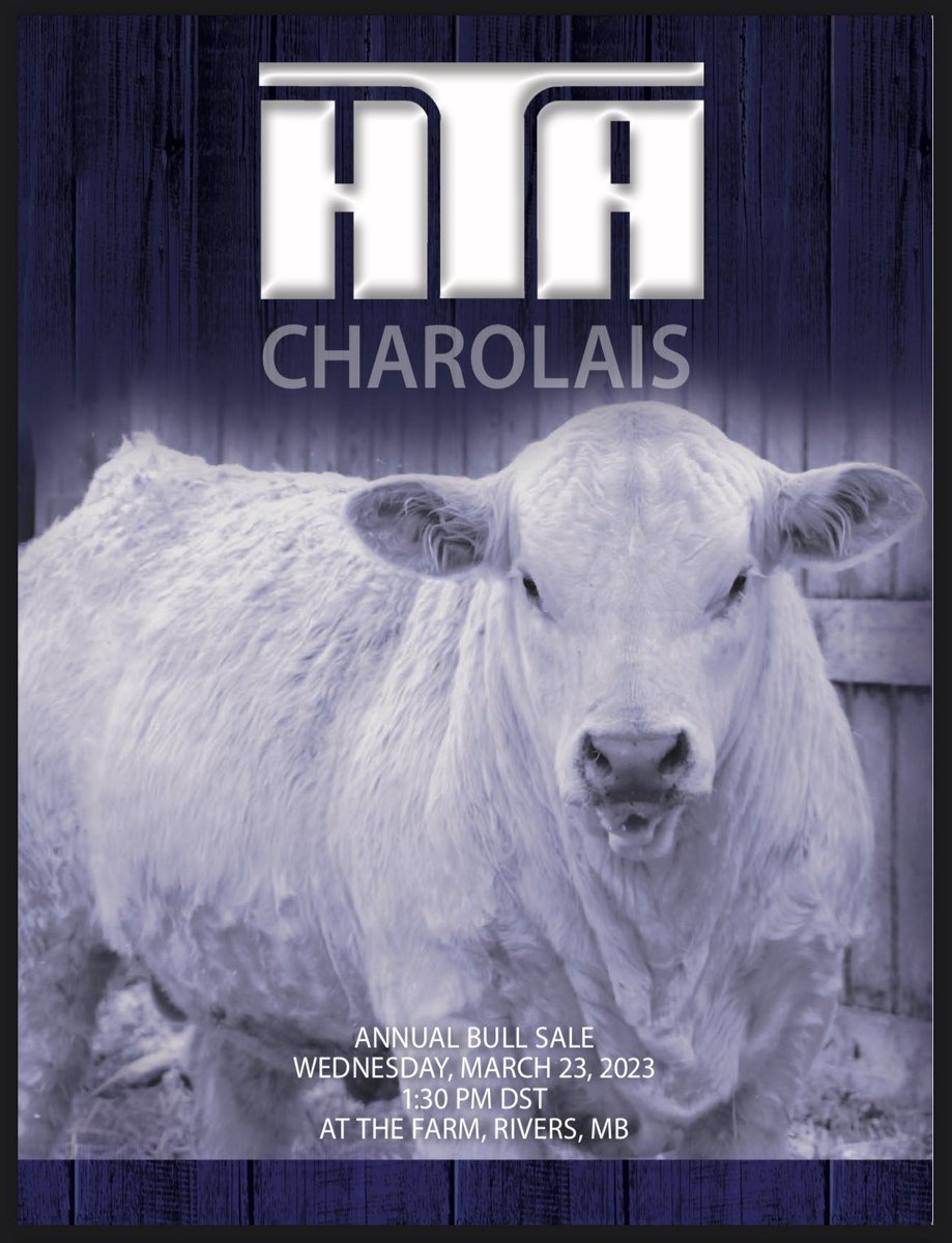 🐮 The bull sale catalogue is live!  🐮

Check it out online or watch for a hard copy hitting your mailbox soon!  📬

🔎 Issuu:  issuu.com/pdrneepawa/doc…

🔎 Pdf:  bylivestock.com/2023/hta.pdf