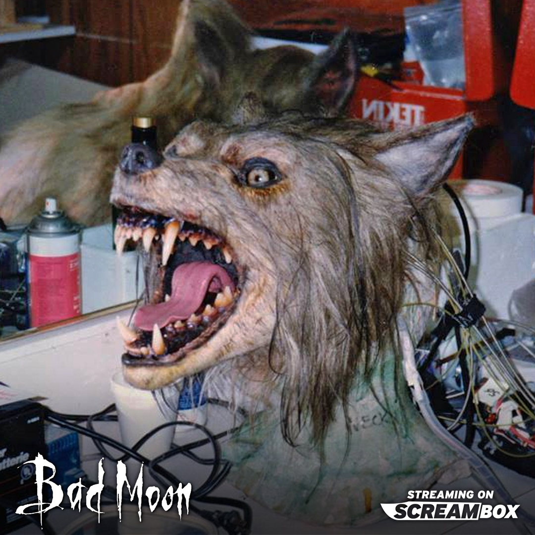 SCREAMBOX tweet media