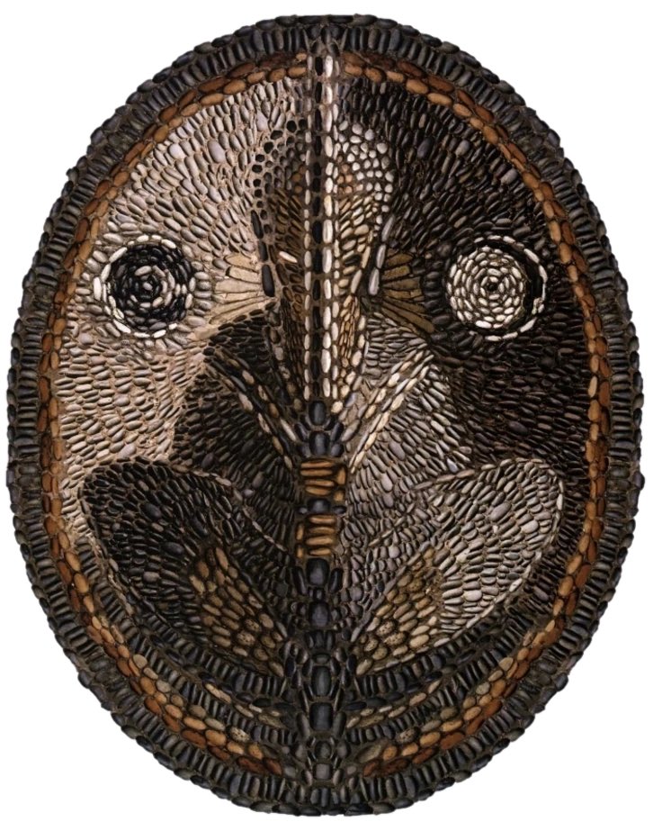 Xander / Sequel trilogy enthusiast tweet media