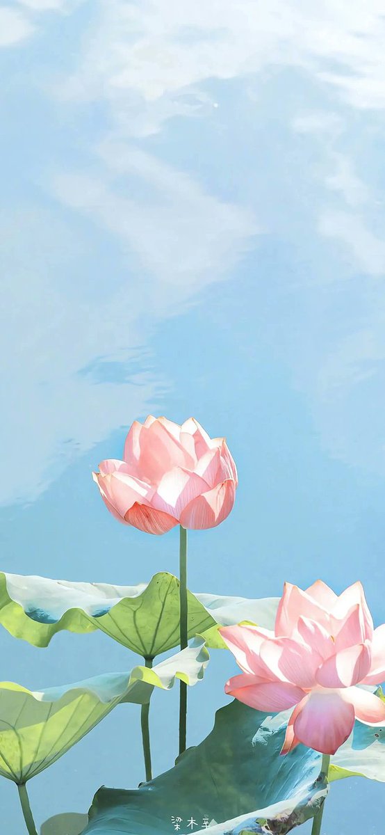 1234k.bnb (@gdfhvdsg) on Twitter photo 