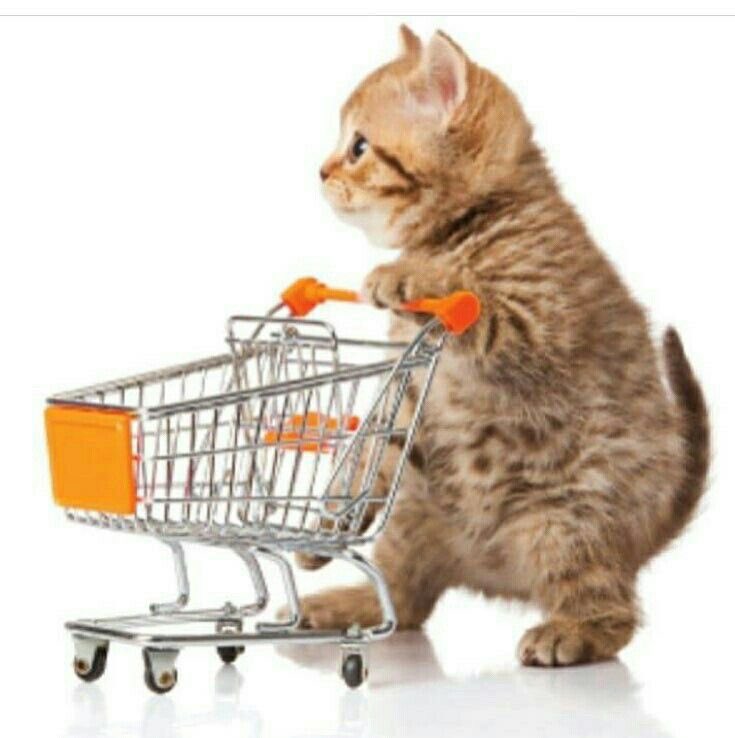 humtinyy's tweet image. goins    grocry    shapin!!