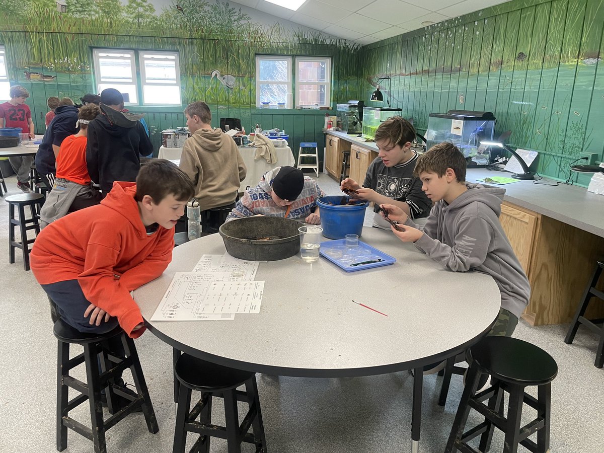 SMS week 3: purple group collected date to determine if the stream is healthy! #ODSchangetheworld