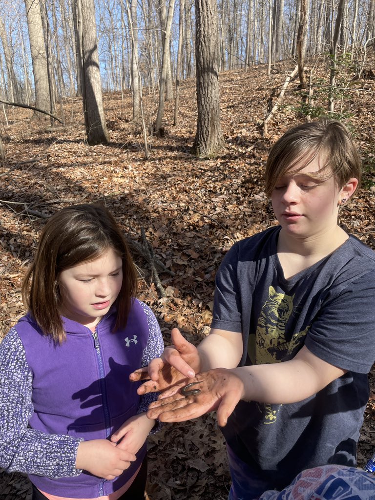 CCPS_ODS's tweet photo. SMS week 3: purple group found salamanders and 53 other animals on our habitat hike.  #ODSchangetheworld https://t.co/WFiQce1YjS