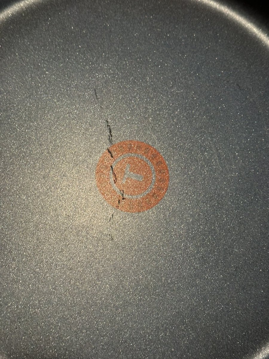 caligrl🌴 tweet media