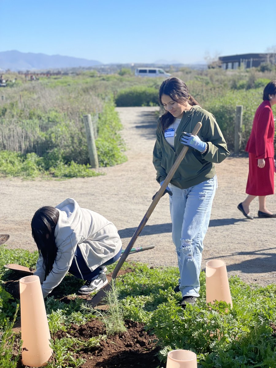 OceanConnectors's tweet image. Our 6th grade field trips at the San Diego National Wildlife Refuge include bird watching, participating in the restoration of the native California coastal sage scrub, and many more fun educational activities.🌱

#BeAnOceanConnector #MarineConservation  #HabitatRestoration