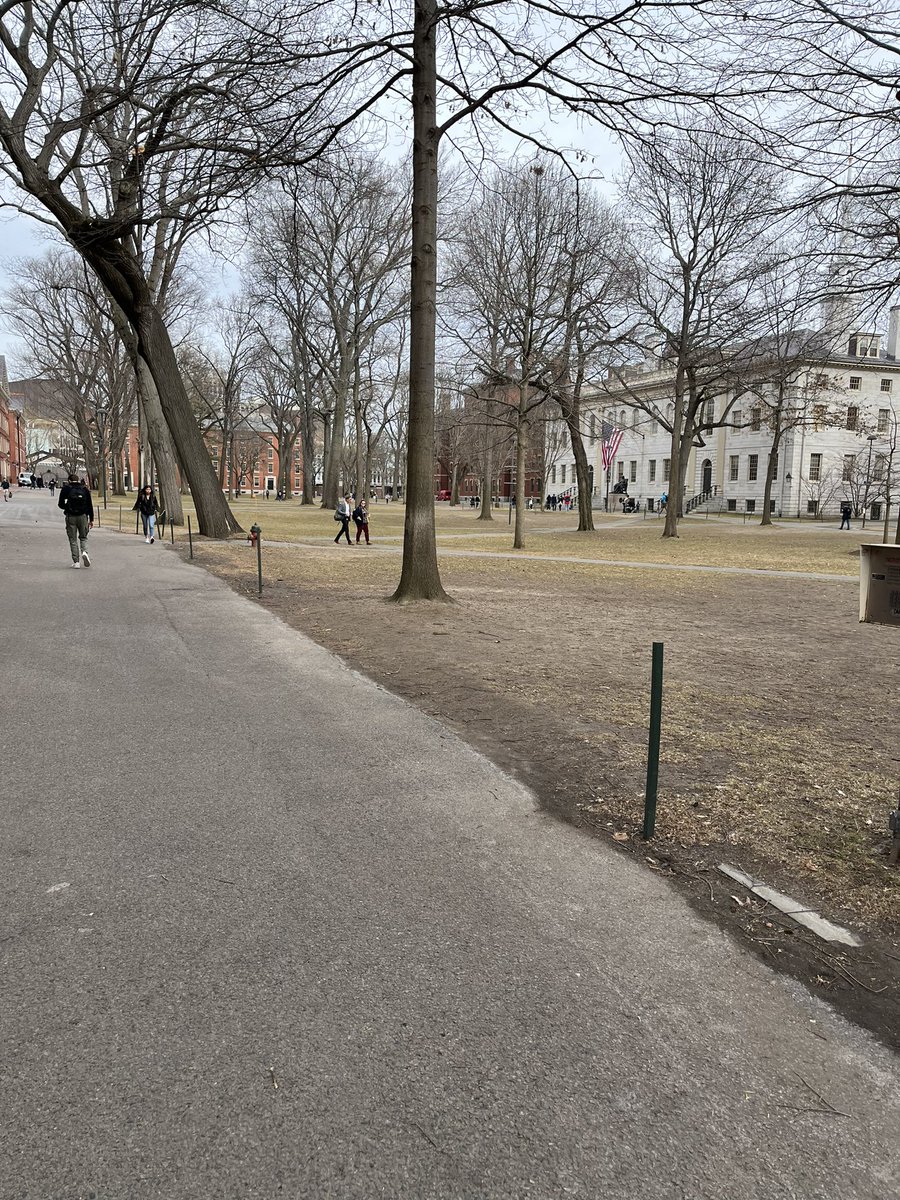 Glad to be back <a href="/Harvard_Law/">Harvard Law School</a>! This time as Visiting Scholar (2023). Look forward to reflecting on <a href="/StateSilence/">StateSilence</a> and all matters international law with colleagues!