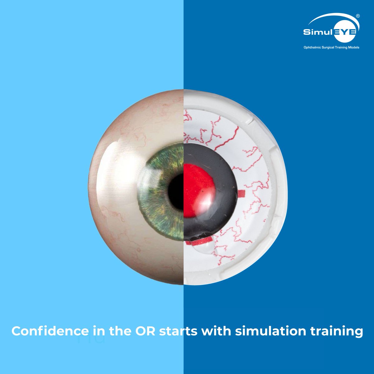 simuleye's tweet image. There's so much that can be done using our surgical eye models, from adjustments like increasing the pressure in the models to providing residents with a chance to have their first laser operation. We're glad to help boost surgeons' confidence in the OR!

#SimulEYE #Ophthalmology